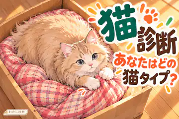 【猫診断】あなたを猫に例えると？8猫種でわかる過ごし方