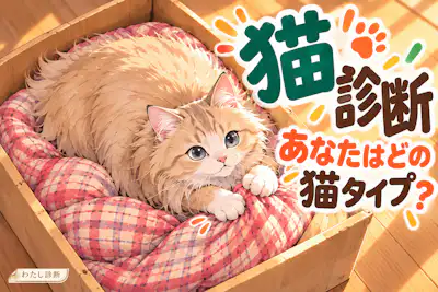 【猫診断】あなたを猫に例えると？8猫種でわかる過ごし方