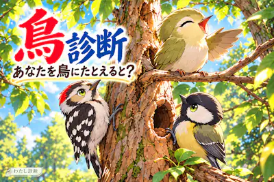 【鳥診断】あなたを鳥に例えると？居場所と羽ばたき方でわかるタイプ